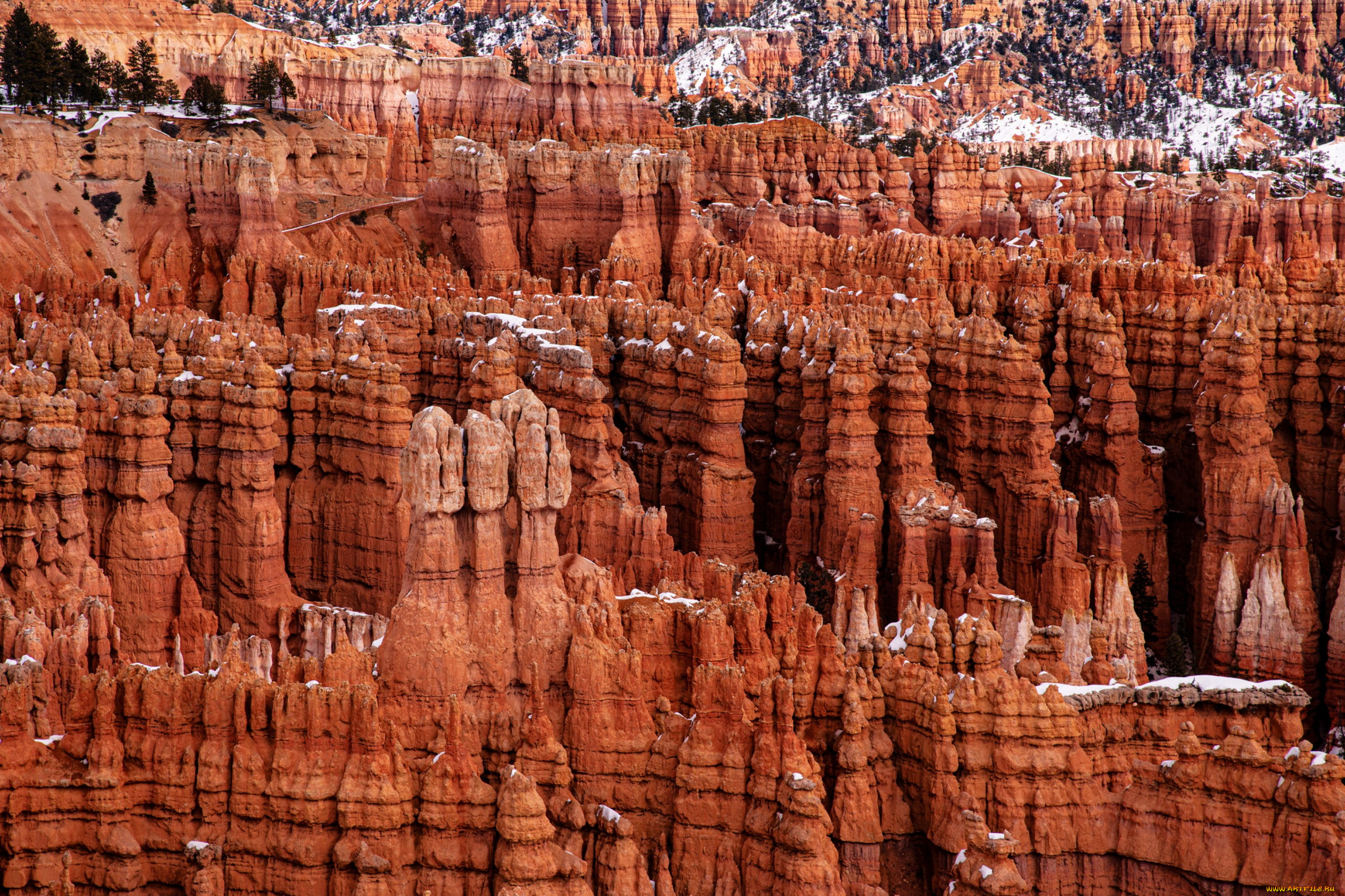 bryce canyon np, utah, , , bryce, canyon, np